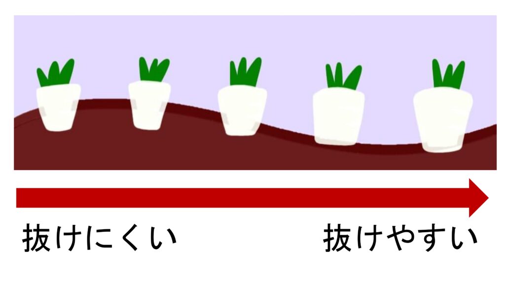 Ｑ＆Ａ　歯周病の進行度合い？