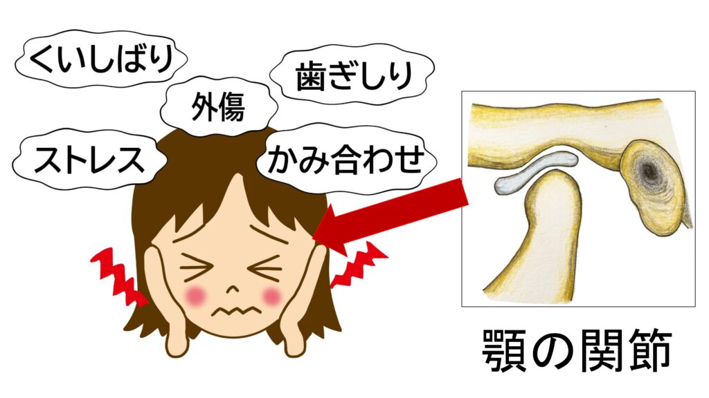 Ｑ＆Ａ　顎もみてくれる？